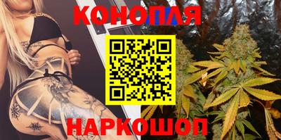 крисы Канаш