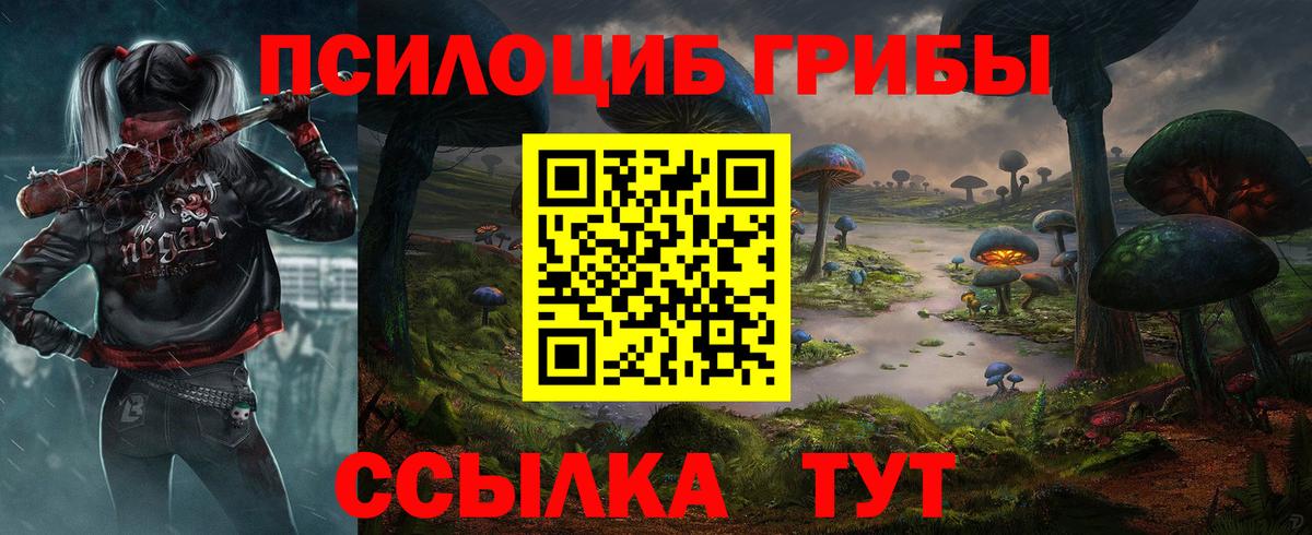 Бирск  Псилоцибиновые грибы Psilocybe  Вход с VPN 